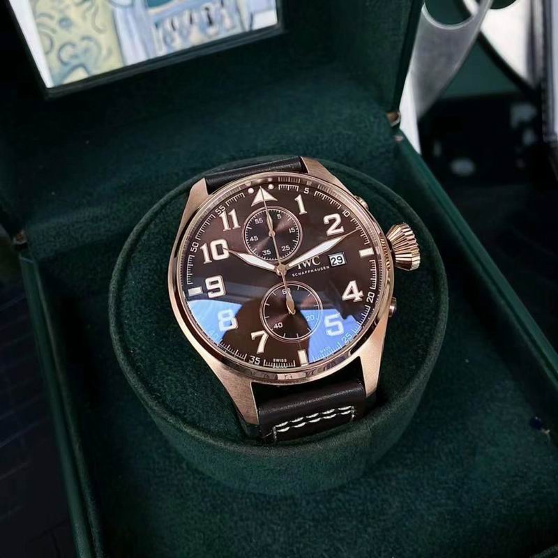 IWC watch 031830
