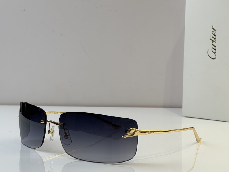 Cartier Glasses 08smh51