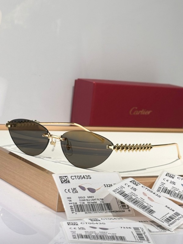 Cartier Glasses 08smh154