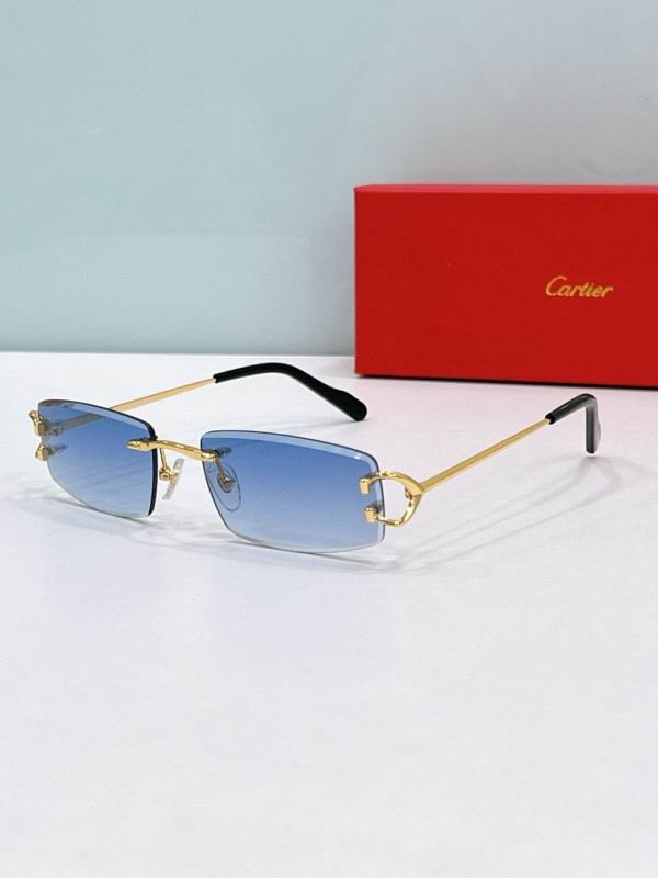 Cartier Glasses 08smh189