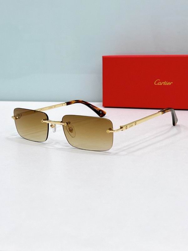 Cartier Glasses 08smh196