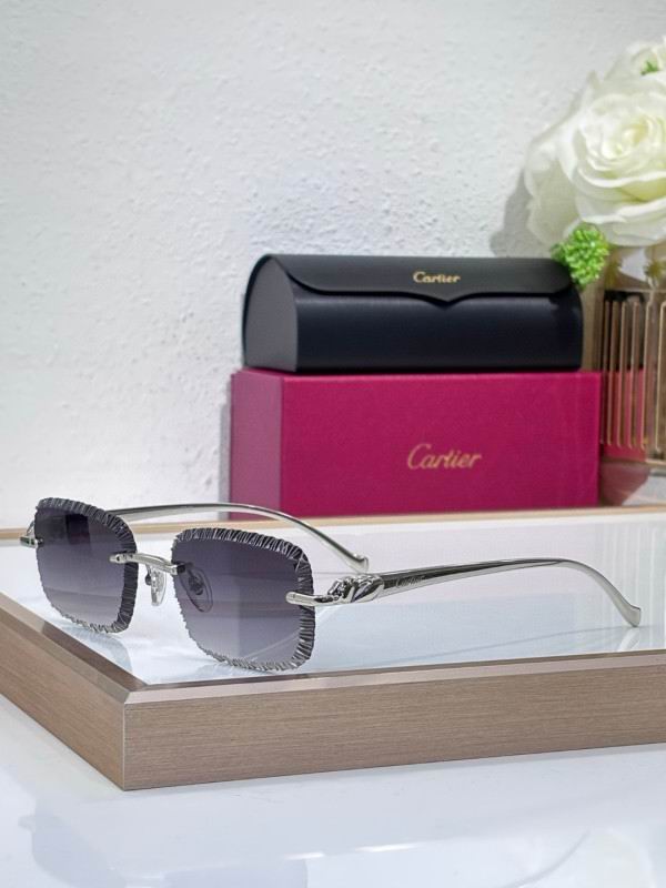 Cartier Glasses 08smh201
