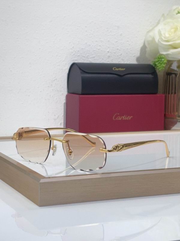 Cartier Glasses 08smh202