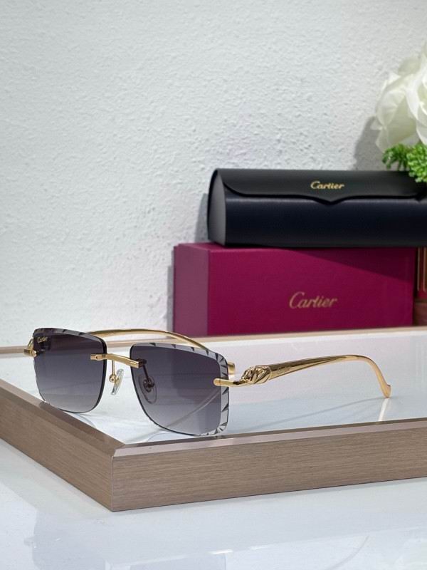 Cartier Glasses 08smh207