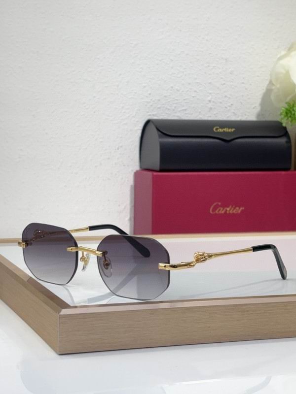 Cartier Glasses 08smh213
