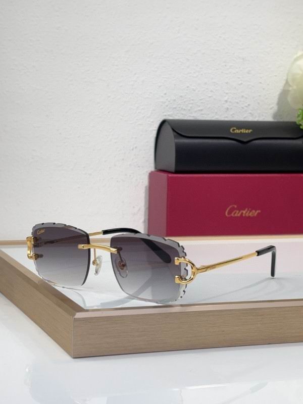 Cartier Glasses 08smh217