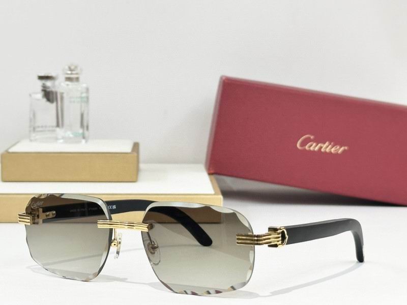 Cartier Glasses 08smh245
