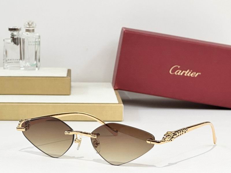 Cartier Glasses 08smh248