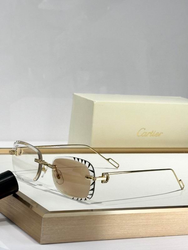 Cartier Glasses 08smh251