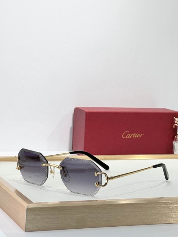 Cartier Glasses 08smh264
