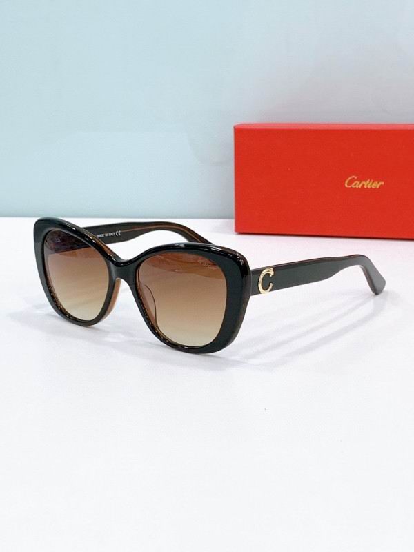Cartier Glasses 08smh277