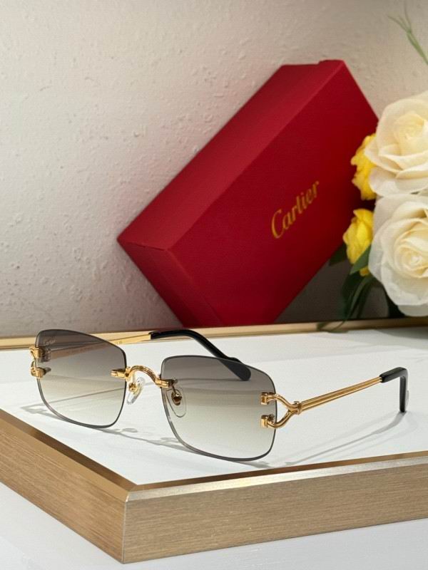 Cartier Glasses 08smh286