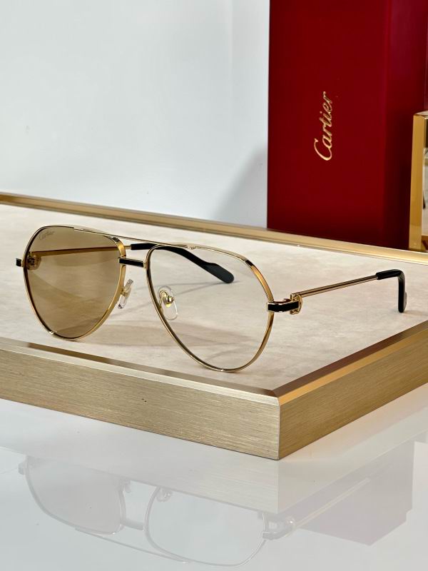 Cartier Glasses 08smh295