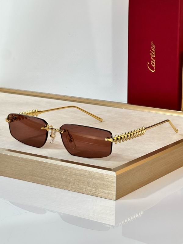 Cartier Glasses 08smh298