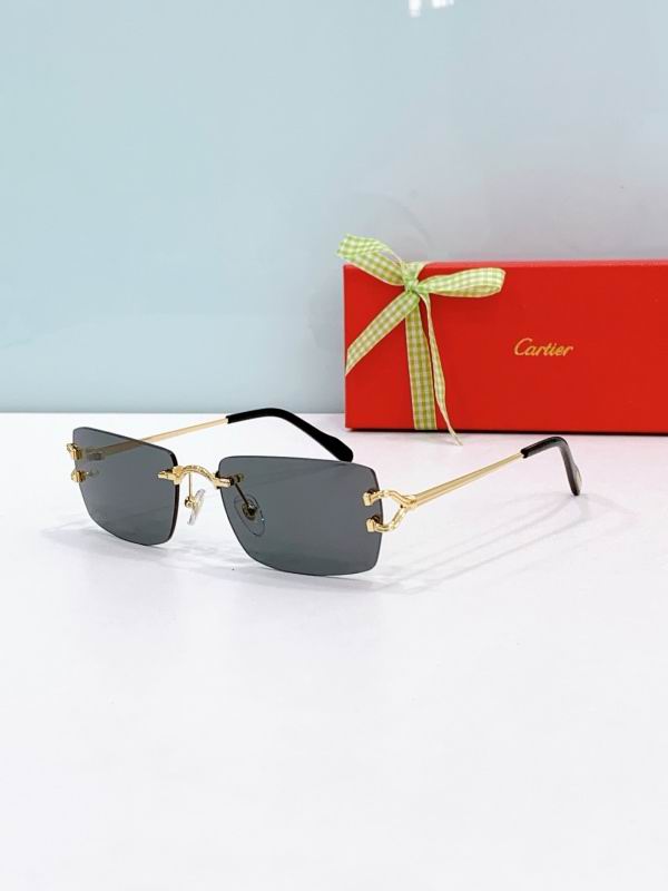 Cartier Glasses 08smh302