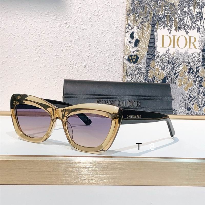 Dior LabeR1F 53 19-145 H