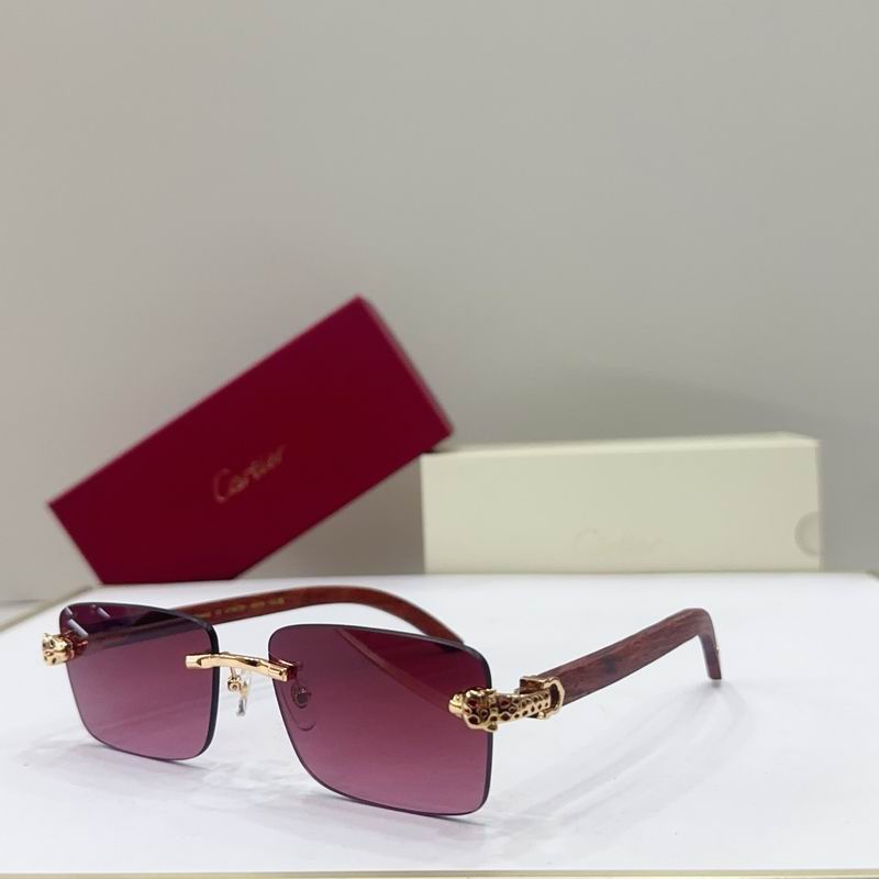 Cartier CT0613S G