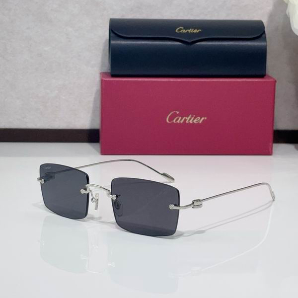 Cartier CT0367S 140 C