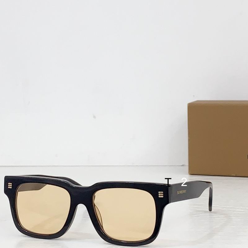 Burberry 1012011 b
