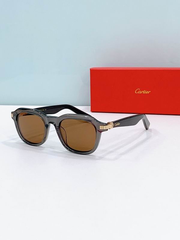 Cartier Glasses smr310