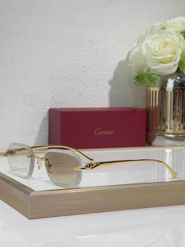 Cartier Glasses smr344