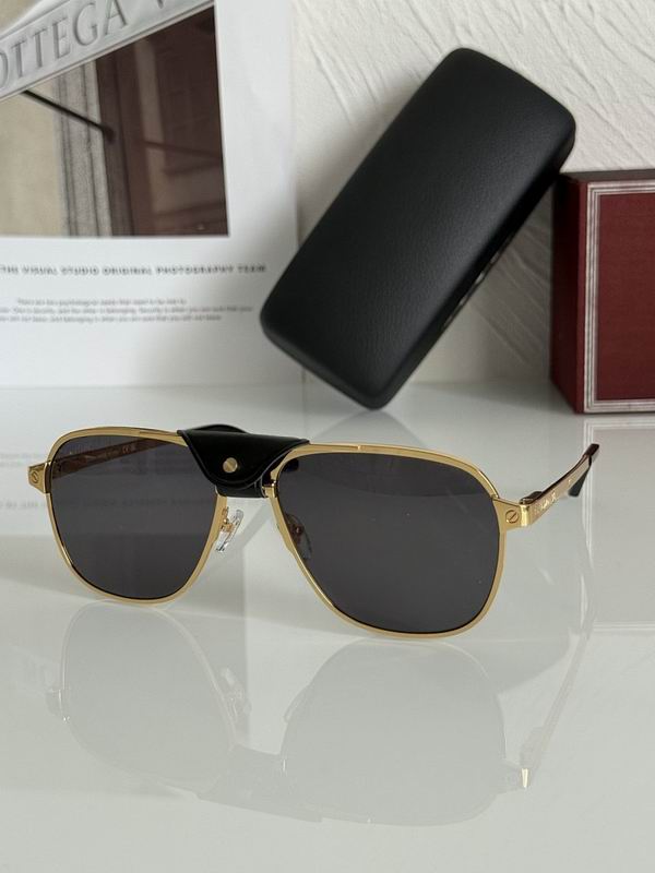 Cartier Glasses smr433