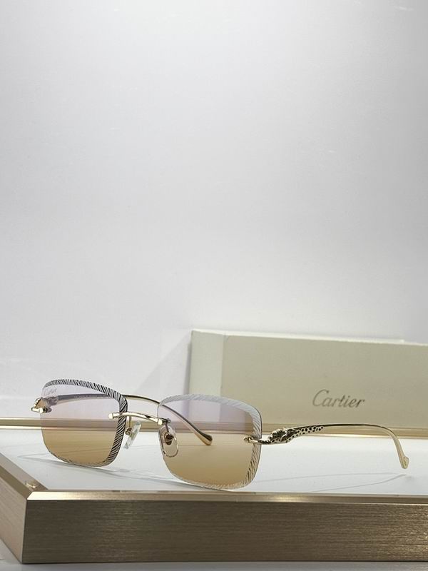 Cartier Glasses smr541