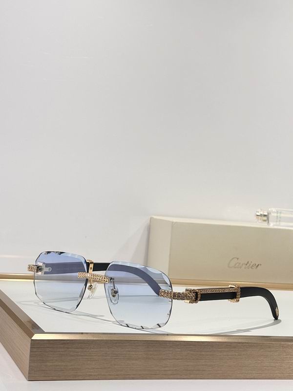 Cartier Glasses smr571