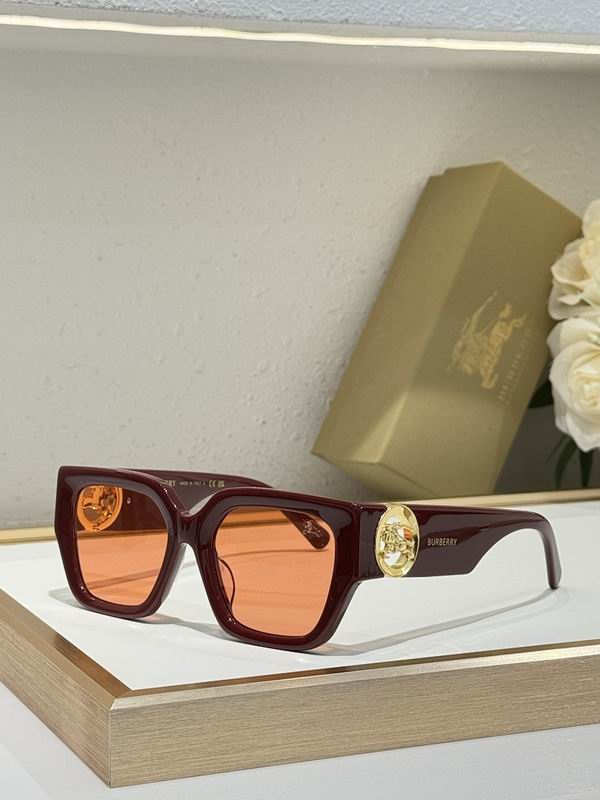 Burberry Glasses smr56
