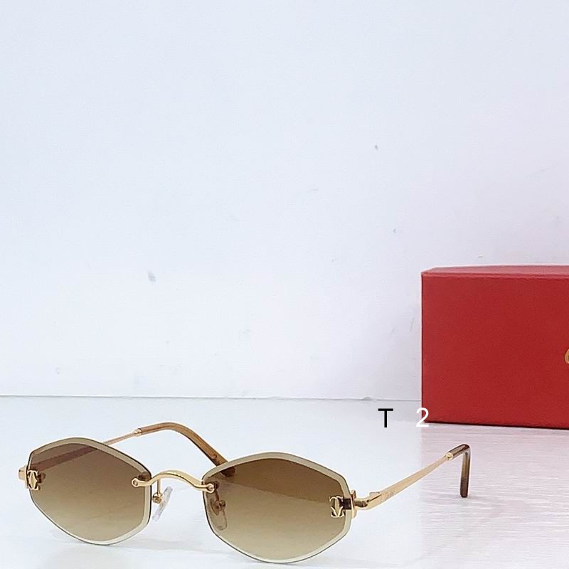Cartier CT0678S 145 b