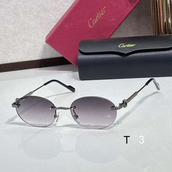 Cartier CT0579S 145 c