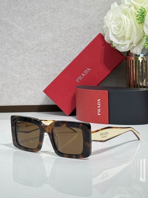 Prada Glasses smr109