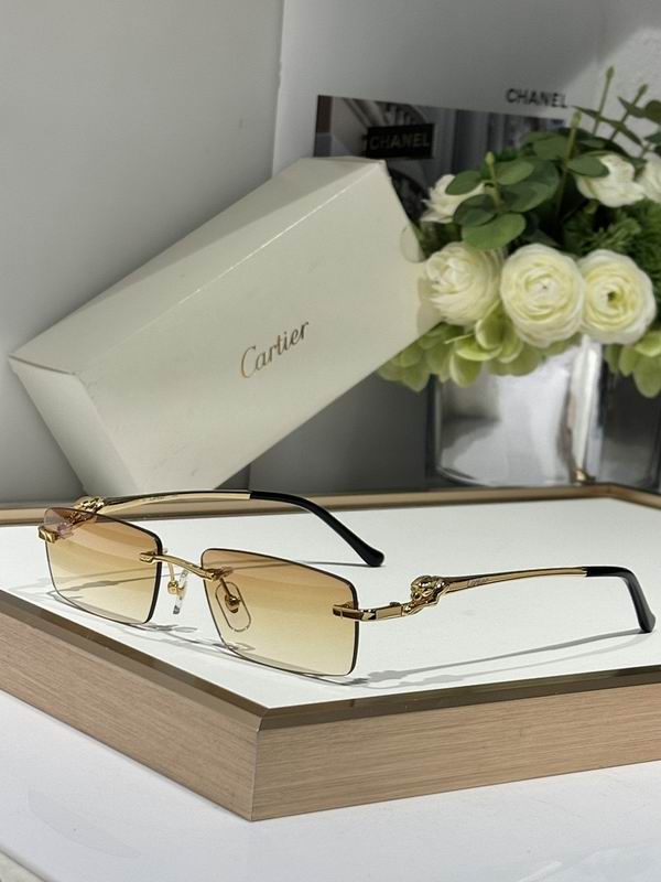 Cartier Glasses smr29