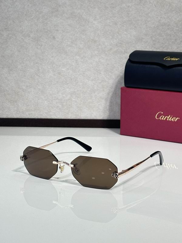 Cartier Glasses smr40