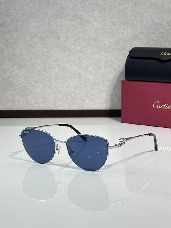 Cartier Glasses smr49