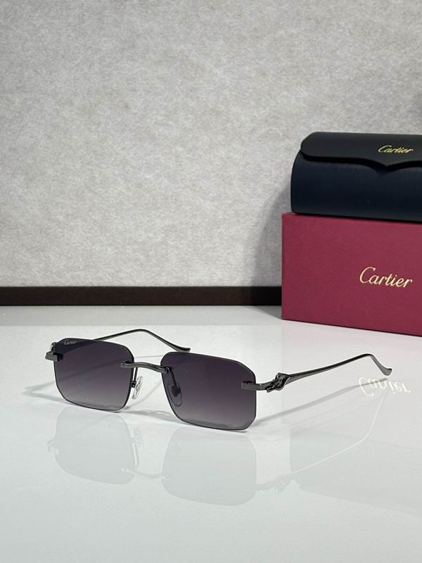 Cartier Glasses smr50