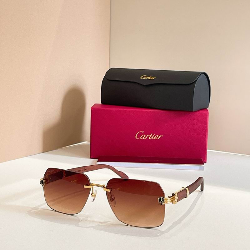 Cartier Glasses smr53