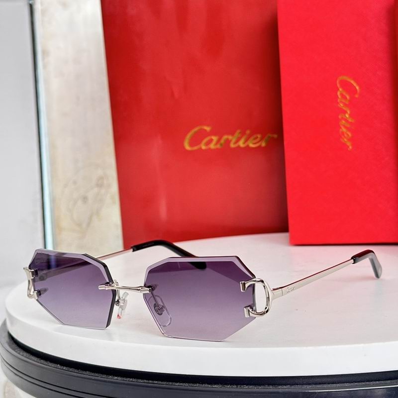 Cartier Glasses smr65