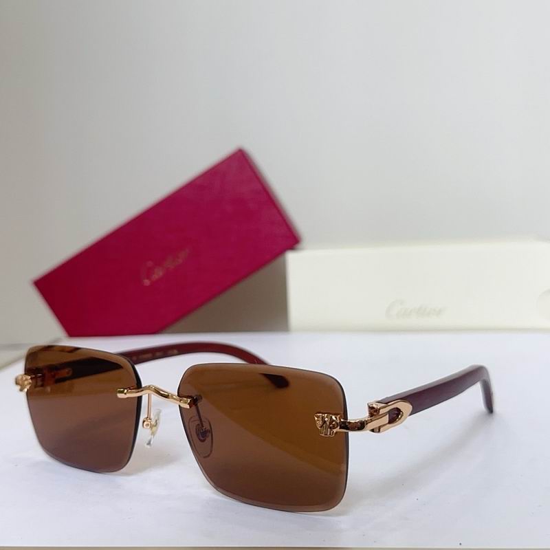 Cartier Glasses smr66