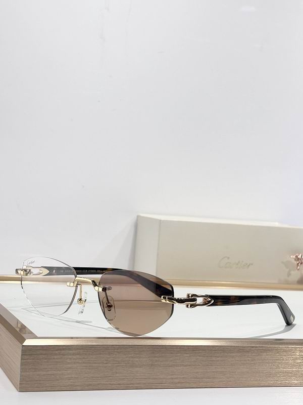 Cartier Glasses smr125