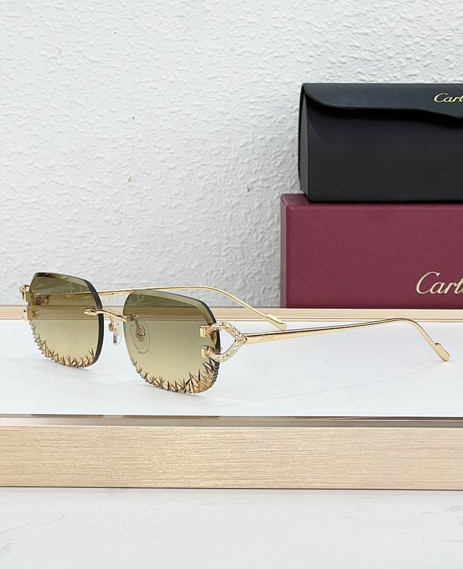 Cartier Glasses smr157