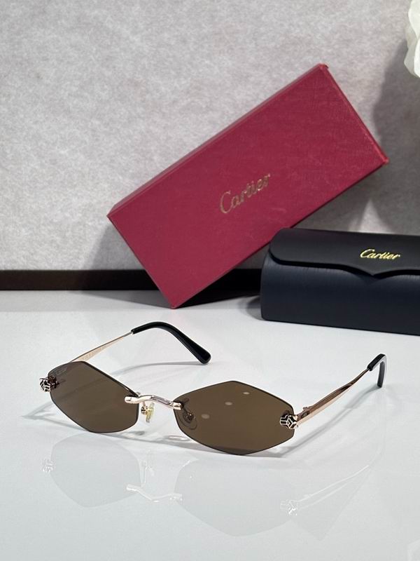 Cartier Glasses smr233