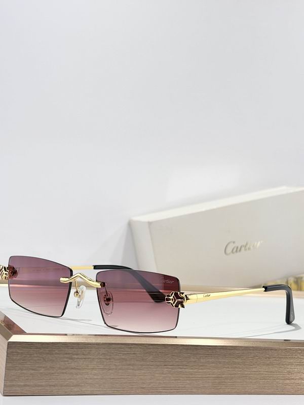 Cartier Glasses smr245