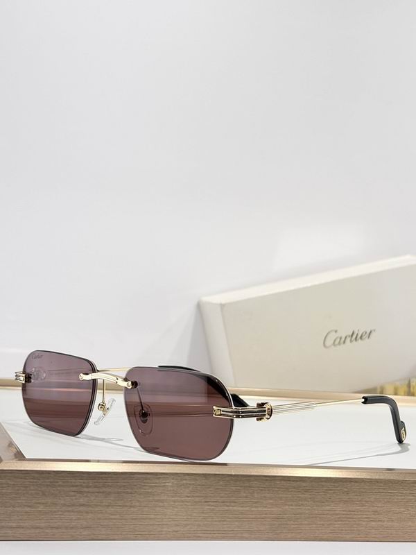 Cartier Glasses smr250