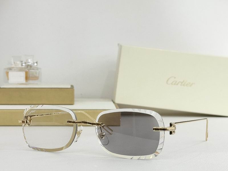 Cartier Glasses smr303