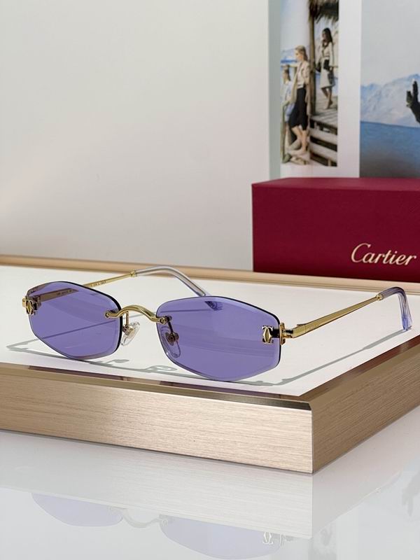 Cartier Glasses smr330