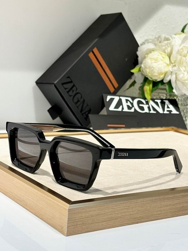 Zegna Glasses sms05