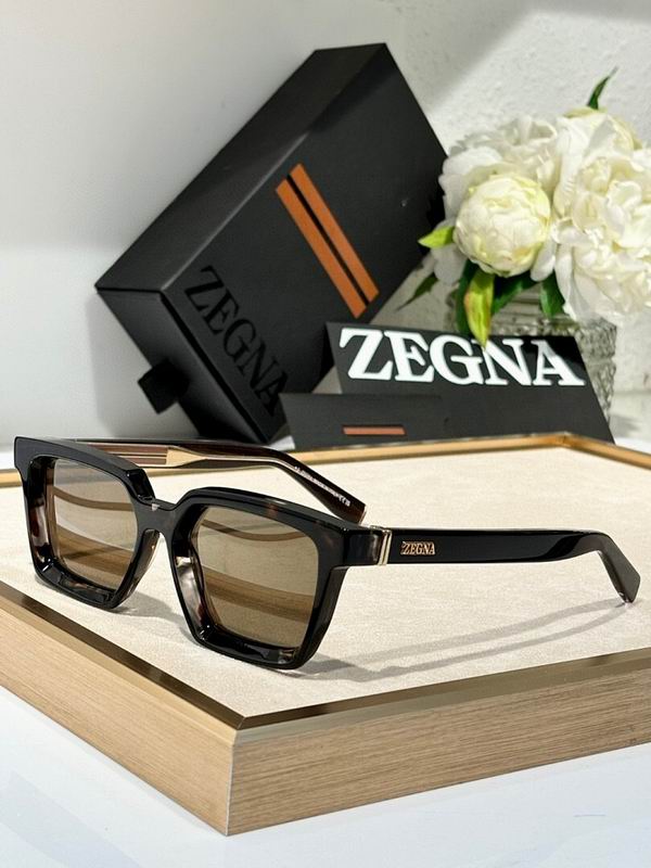 Zegna Glasses sms06