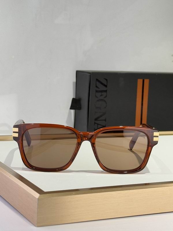 Zegna Glasses sms10