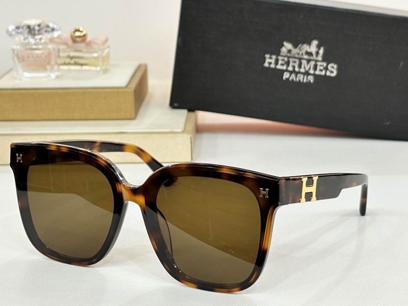 Hermes Glasses sms38
